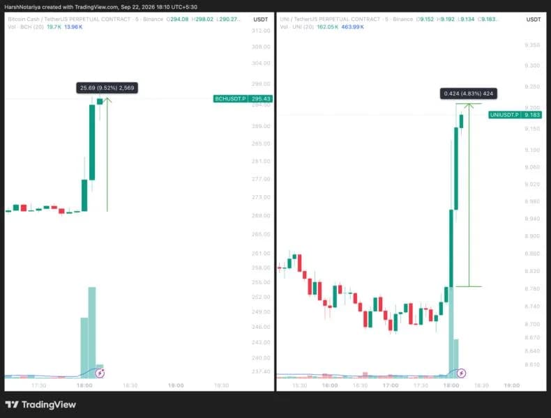 2 Altcoins Just Got Wall Street's Stamp of Approval: What Happens Next?