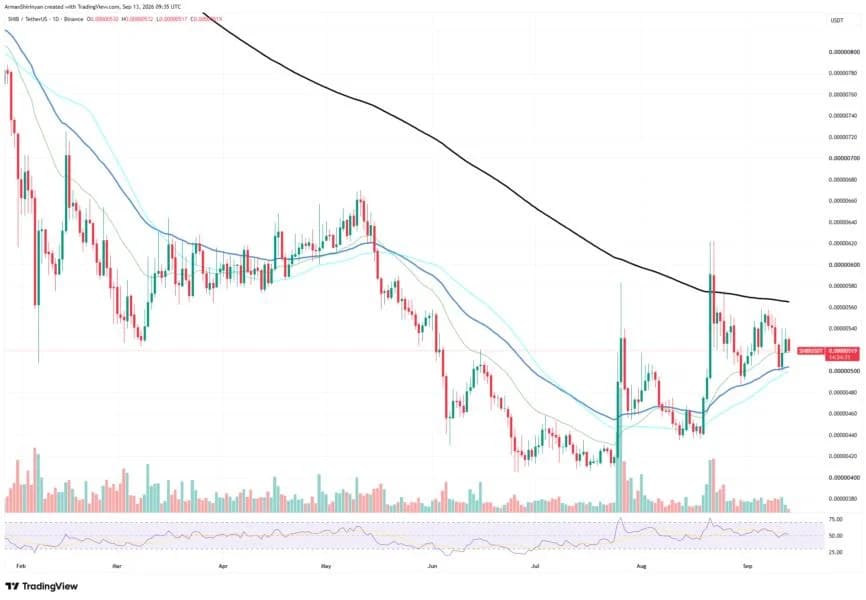 42% Shiba Inu (SHIB) On-Chain Increase Is Not Yet Bullish: Explaining Why