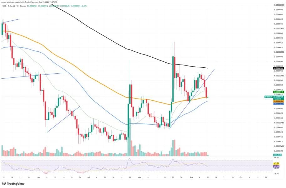 +463 Billion Shiba Inu in 24 Hours: Can Bulls Save SHIB's Price?