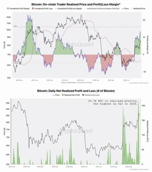 [Analysis] Bitcoin Unrealized Profit Margin Hits 20-Month High, Raising Correction Risk