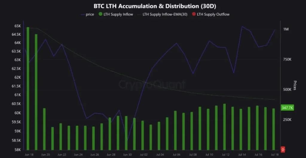 Bitcoin Price Rally Intact? Long-Term Holder Data Suggests So