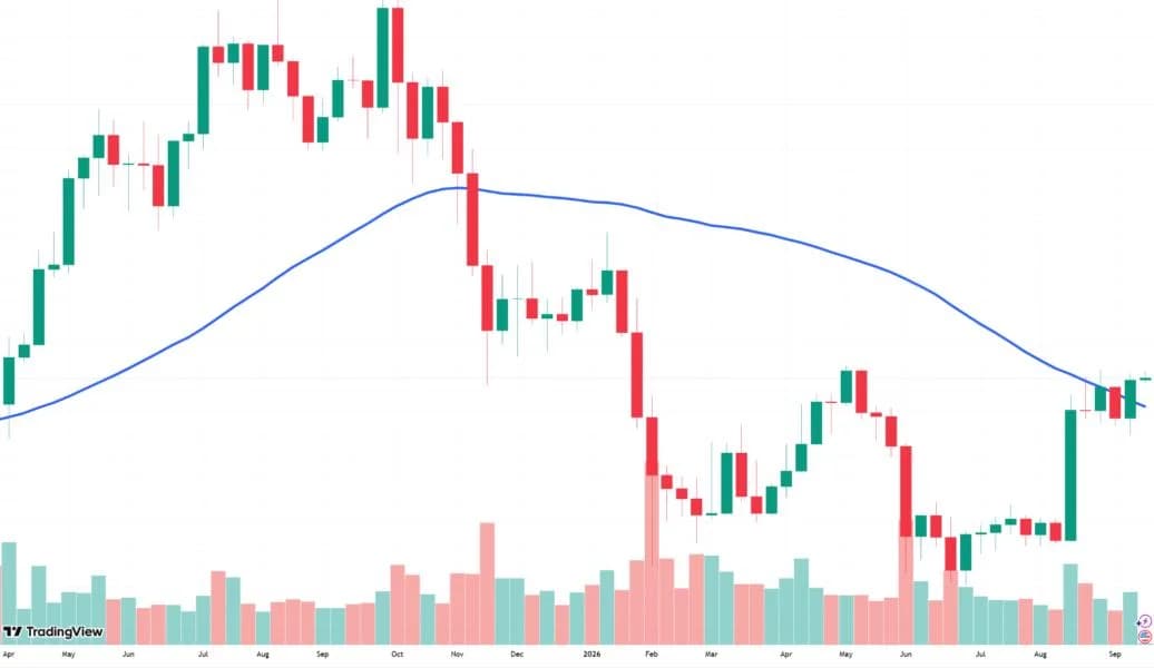 Bitcoin reclaims 50-week moving average as analysts eye end of bear market