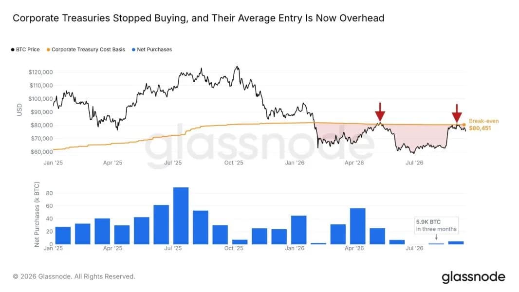 Bitcoin treasuries buy just 5.9K BTC in three months as paper losses linger