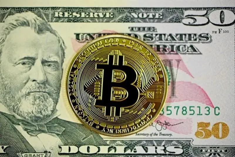 Bitcoin Whales Accumulate 75,000 BTC Over 30 Days