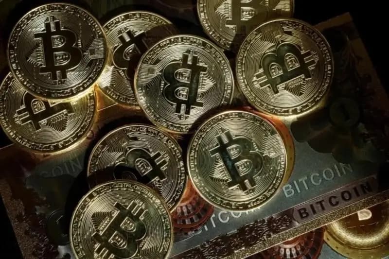 Corporate Bitcoin Holdings Rise by 193,000 This Year as Retail Investors Cut 93,000