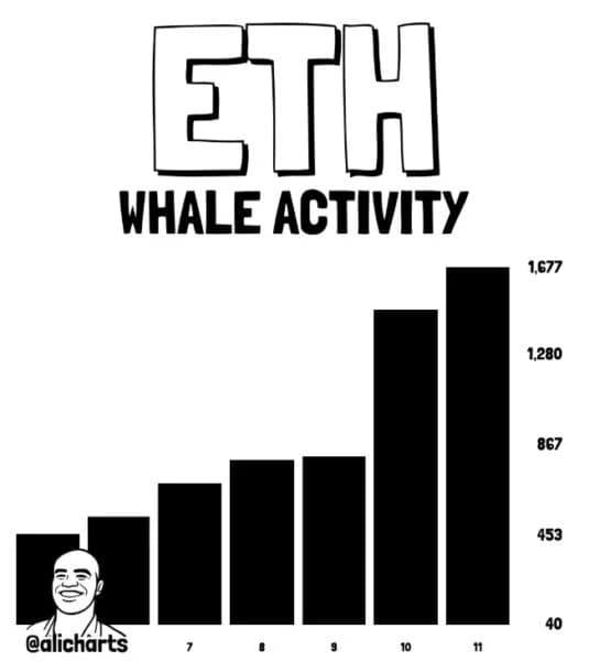 Ethereum Price Momentum Builds as $1M+ Whale Transactions Surge