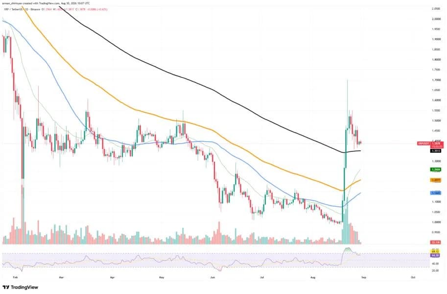 Most Important XRP Signal Delivered Right Now