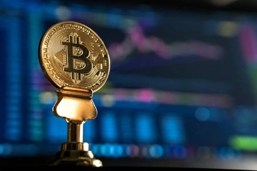 Number of Public Companies Holding Bitcoin Rises Despite Crypto Bear Market