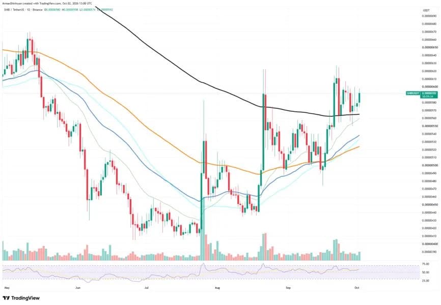 'Only' 20 Billion Shiba Inu (SHIB) Burned in 24 Hours: Main Implications for the Market