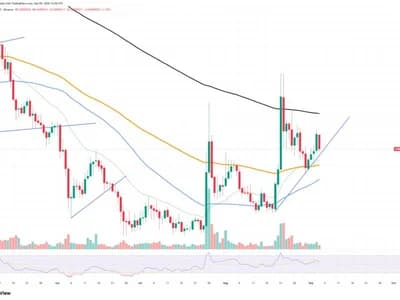 +103% in Shiba Inu (SHIB) Most Crucial Metric in 24 Hours: Can It Save the Day?
