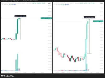2 Altcoins Just Got Wall Street's Stamp of Approval: What Happens Next?
