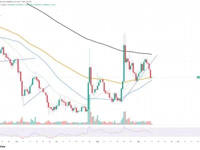 +463 Billion Shiba Inu in 24 Hours: Can Bulls Save SHIB's Price?