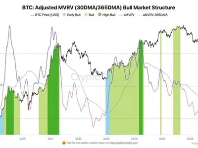 [Analysis] Bitcoin Enters Bull Market, On-Chain Indicators Show