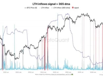 [Analysis] Bitcoin Long-Term Holder Selling Cools as Market Regains Rationality