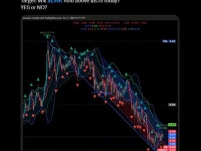 Analysts Watch LINK Price Action During July Consolidation