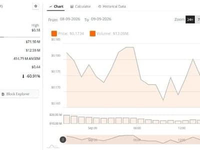 ANSEM Price Falls 5.83% as $0.17 Support Faces Risk of Further Losses Ahead