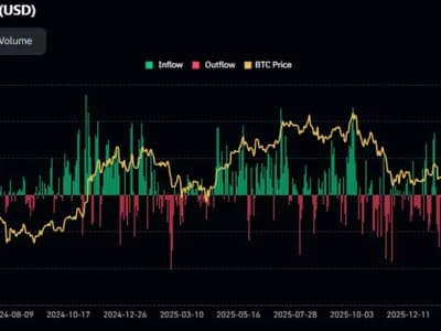 Bitcoin ETFs Pull In $1 Billion Monday: Are They Driving This Rally or Chasing It?
