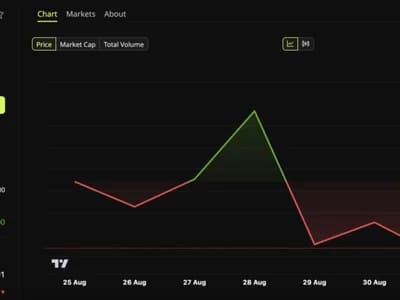 Bitcoin ETFs Pulled In Near $1 Billion Last Week, So Why Is BTC Stuck Below $80,000?