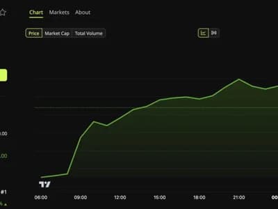 Bitcoin Hits 7-Month High as FOMO Peaks, But 2 Signals Still Flash Caution