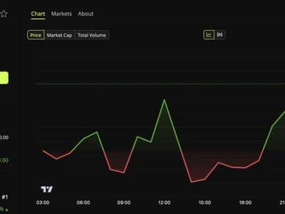 Bitcoin Looks Resilient After 2 Blows, The On-Chain Data Disagrees