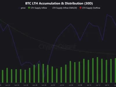 Bitcoin Price Rally Intact? Long-Term Holder Data Suggests So