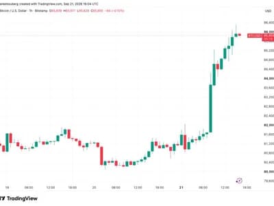 Bitcoin price tags $86K as analysis sees crypto in ‘new bull market’