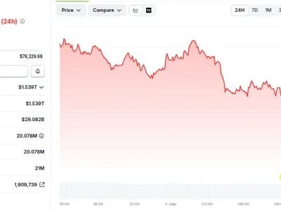 Bitcoin Slides Below $77,000 After Trump Confirms New Strikes on Iran