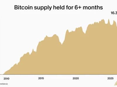 Bitcoin Supply Shock: 81% of BTC Has Not Moved in Six Months