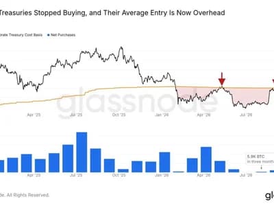 Bitcoin treasuries buy just 5.9K BTC in three months as paper losses linger