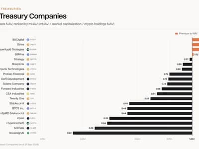 Buy the Coin or the Crypto Treasury Stock? DWF Ventures Has a Verdict