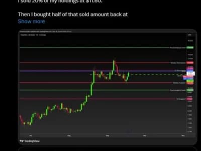 Chainlink Price Rebounds 6% as LINK Tests the $12 Resistance Zone