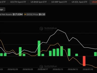 Dogecoin ETFs Hit Record Week After Bitwise Exit Plans. Will Price React?