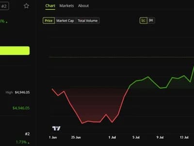 Ethereum Could Lead the Next Bull Market: Is Hayes Preparing with More Buys?
