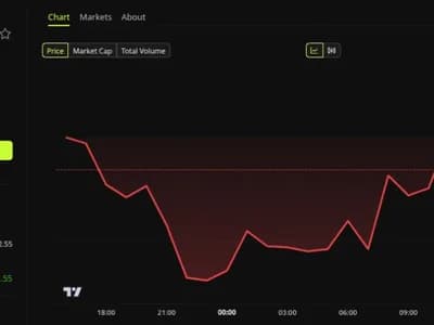 FC Barcelona Bets on Cardano With New ‘Barça Fan Lab' Platform