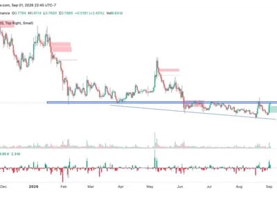 Filecoin Surges Over 20%, Reaching $0.8—What’s Driving the FIL Price Rally Today?