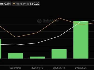 HYPE ETFs Post First Outflow Since May, Ending a 9-Week Streak