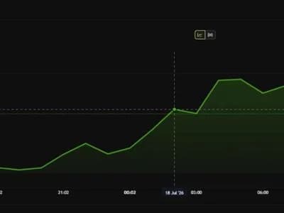 Jimothy The Raccoon Solana Token Climbs 186% After Viral Meme Fame