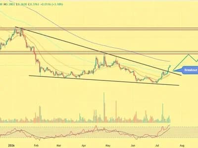 Lido DAO Price Gains as Interactive Brokers Expands Crypto Offering
