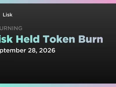 Lisk Held Token Burn