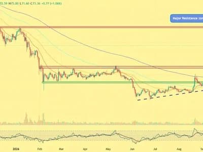 Litecoin Price Surges Toward $75 as Momentum Builds — Can LTC Break $80?