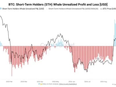 New Bitcoin whales spark sell-side risk as unrealized gains hit $9B