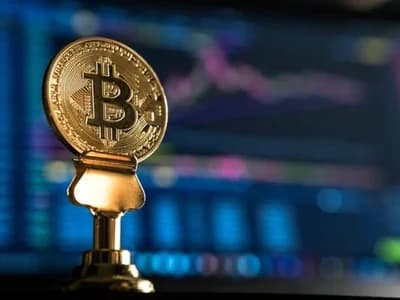 Number of Public Companies Holding Bitcoin Rises Despite Crypto Bear Market