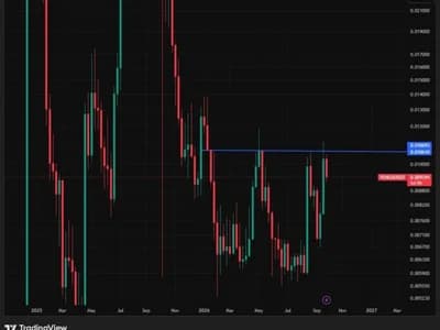 Pudgy Penguins Presents Likely Final Buying Chance Before 44% Breakout