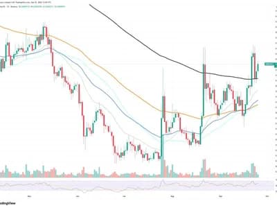 Shiba Inu (SHIB) +351% in 8 Hours: Market Volatility Goes Even Higher