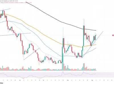 Shiba Inu (SHIB) Adds Exceptional 75 Billion to Exchanges in 24 Hours