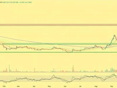 These 5 Altcoins Are Seeing the Biggest Whale Accumulation Right Now