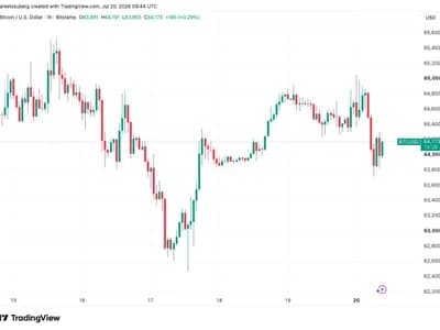 Trader maintains $67K BTC price target: Five things to know in Bitcoin this week