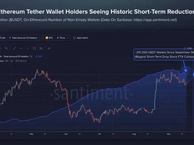 USDT Holders De-Risk as Ethereum Fees Hit Lows