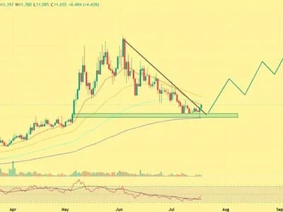Venice Token Price Soars 12% After Major Tokenomics Move