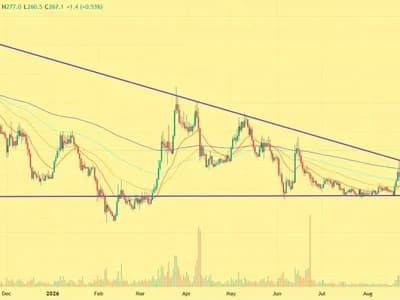 Why Bittensor (TAO) Price Is Up Today?